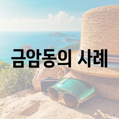 금암동의 사례