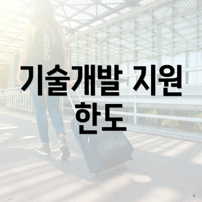 기술개발 지원 한도