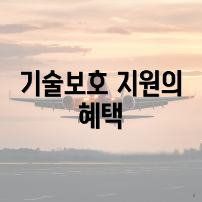 기술보호 지원의 혜택