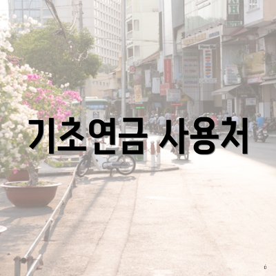 기초연금 사용처