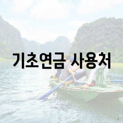 기초연금 사용처