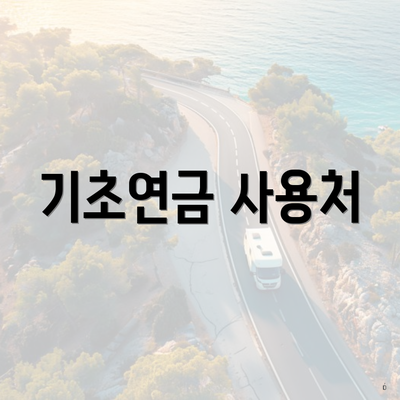 기초연금 사용처
