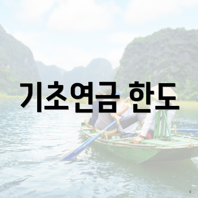 기초연금 한도