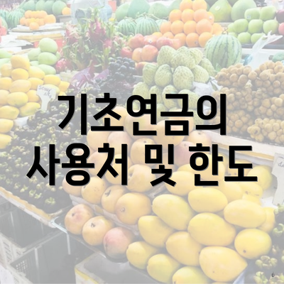기초연금의 사용처 및 한도