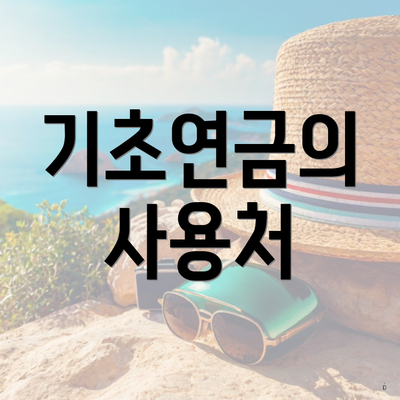 기초연금의 사용처