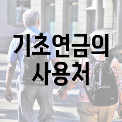 기초연금의 사용처