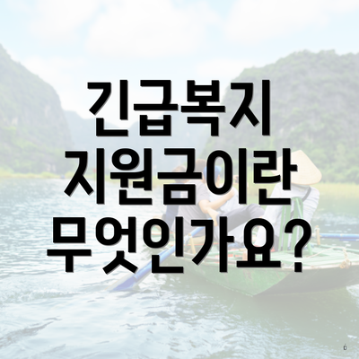 긴급복지 지원금이란 무엇인가요?