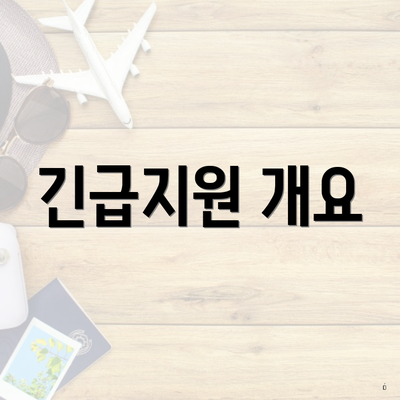 긴급지원 개요
