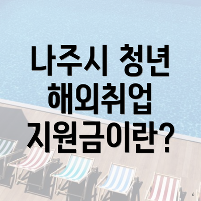 나주시 청년 해외취업 지원금이란?