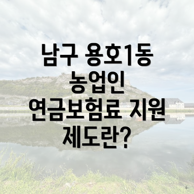 남구 용호1동 농업인 연금보험료 지원 제도란?