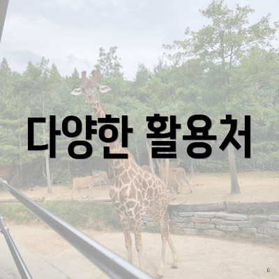 다양한 활용처