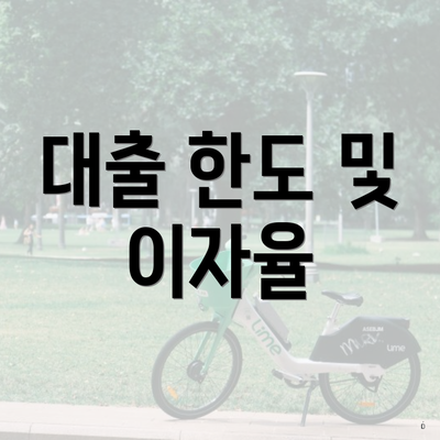 대출 한도 및 이자율