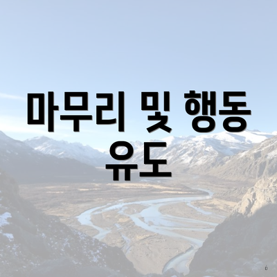마무리 및 행동 유도