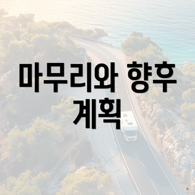 마무리와 향후 계획