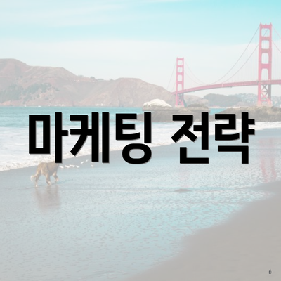 마케팅 전략