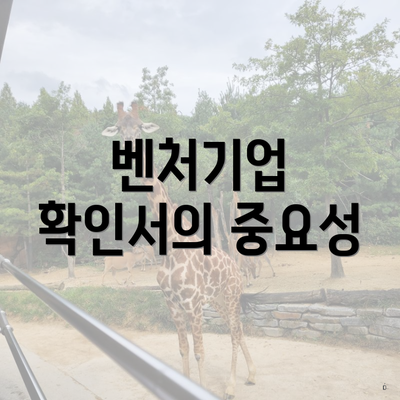 벤처기업 확인서의 중요성