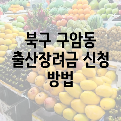 북구 구암동 출산장려금 신청 방법