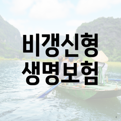 비갱신형 생명보험