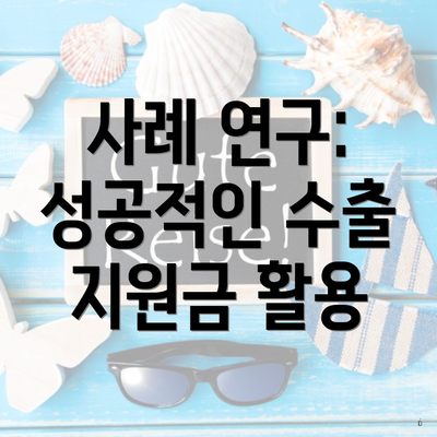 사례 연구: 성공적인 수출 지원금 활용