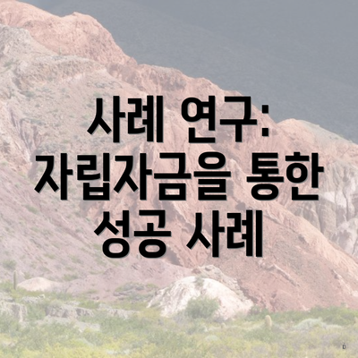 사례 연구: 자립자금을 통한 성공 사례