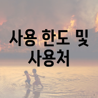 사용 한도 및 사용처