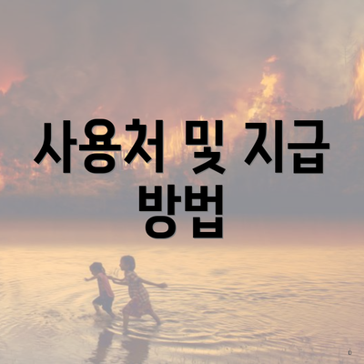 사용처 및 지급 방법