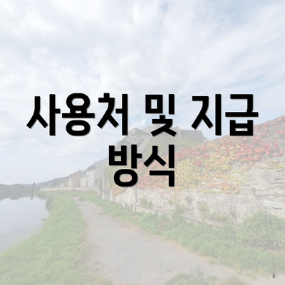 사용처 및 지급 방식