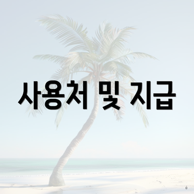 사용처 및 지급