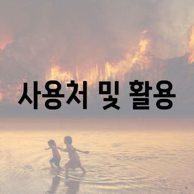 사용처 및 활용