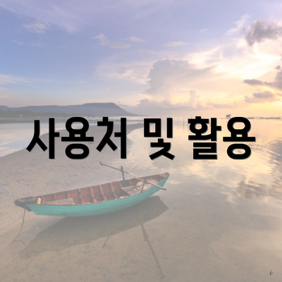 사용처 및 활용