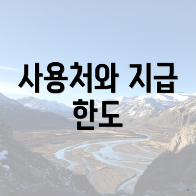사용처와 지급 한도