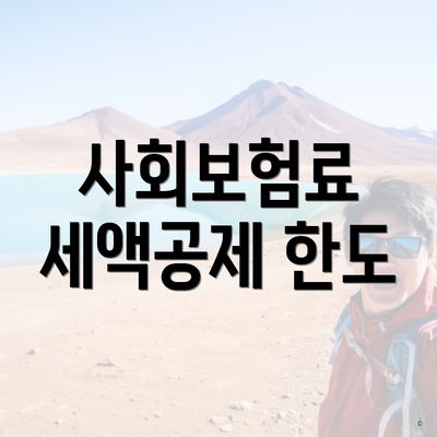사회보험료 세액공제 한도