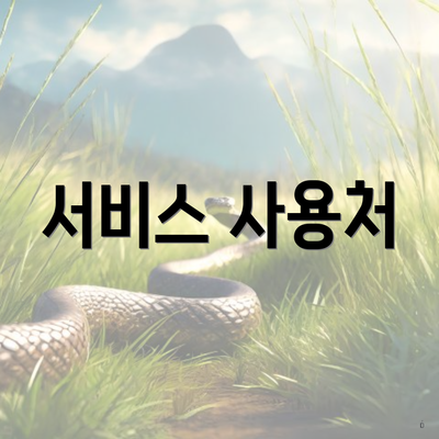 서비스 사용처