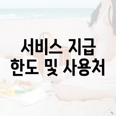 서비스 지급 한도 및 사용처