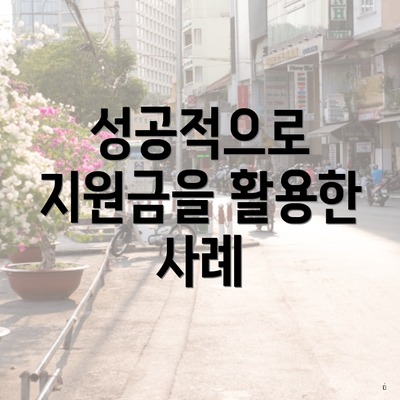성공적으로 지원금을 활용한 사례