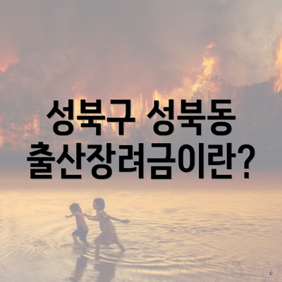성북구 성북동 출산장려금이란?