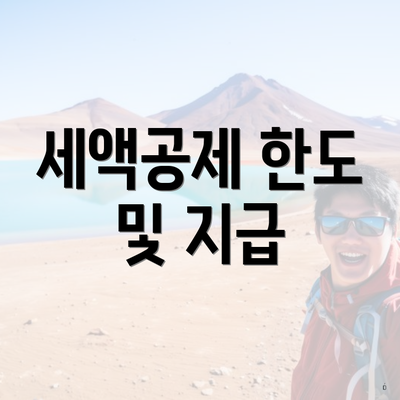 세액공제 한도 및 지급