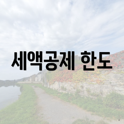세액공제 한도
