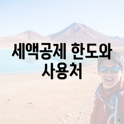 세액공제 한도와 사용처