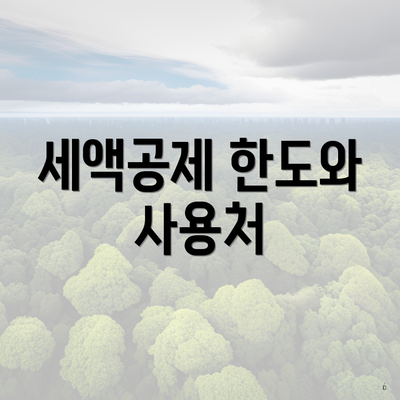 세액공제 한도와 사용처
