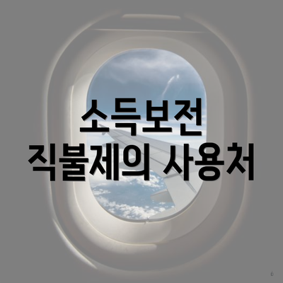 소득보전 직불제의 사용처