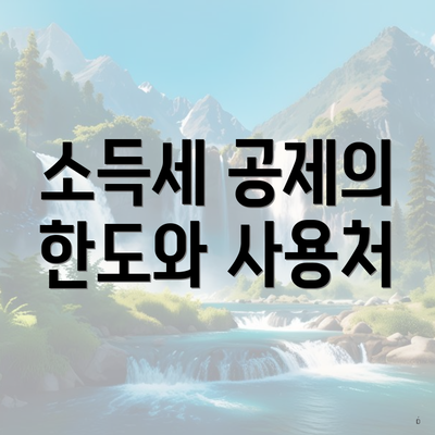소득세 공제의 한도와 사용처