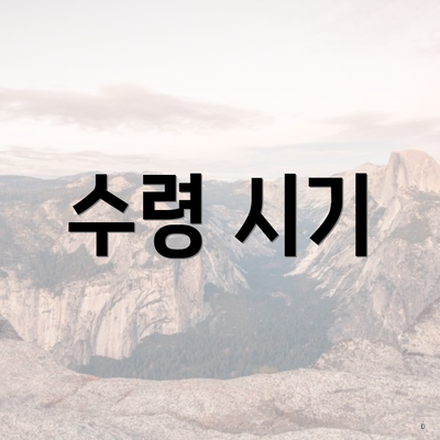 수령 시기