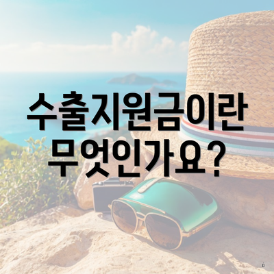 수출지원금이란 무엇인가요?
