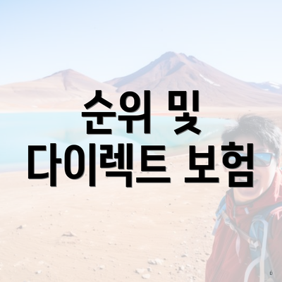 순위 및 다이렉트 보험
