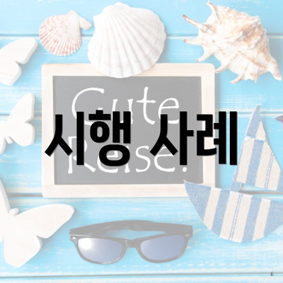 시행 사례