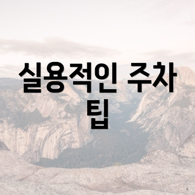 실용적인 주차 팁