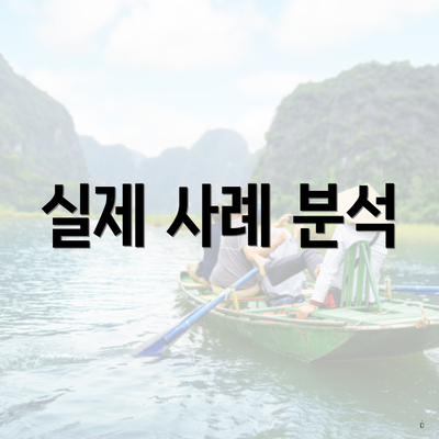 실제 사례 분석