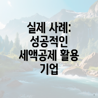 실제 사례: 성공적인 세액공제 활용 기업