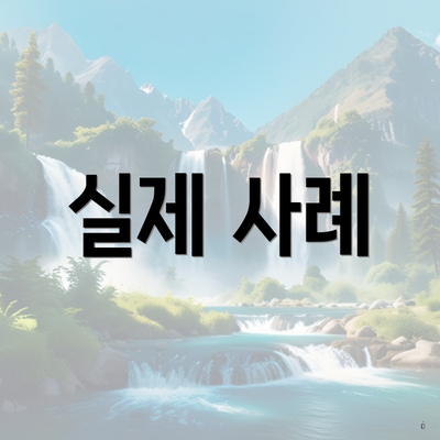 실제 사례